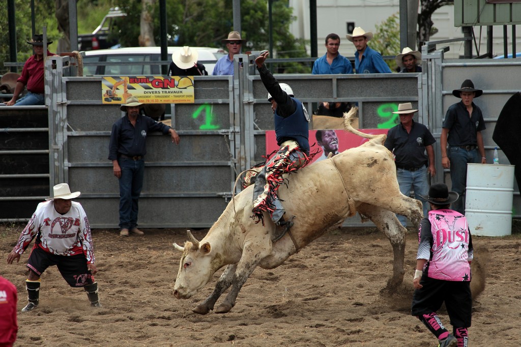 Sport a risque rodéo taureau bull riding monte a cru arene rodeo Païta Nouvelle-Calédonie