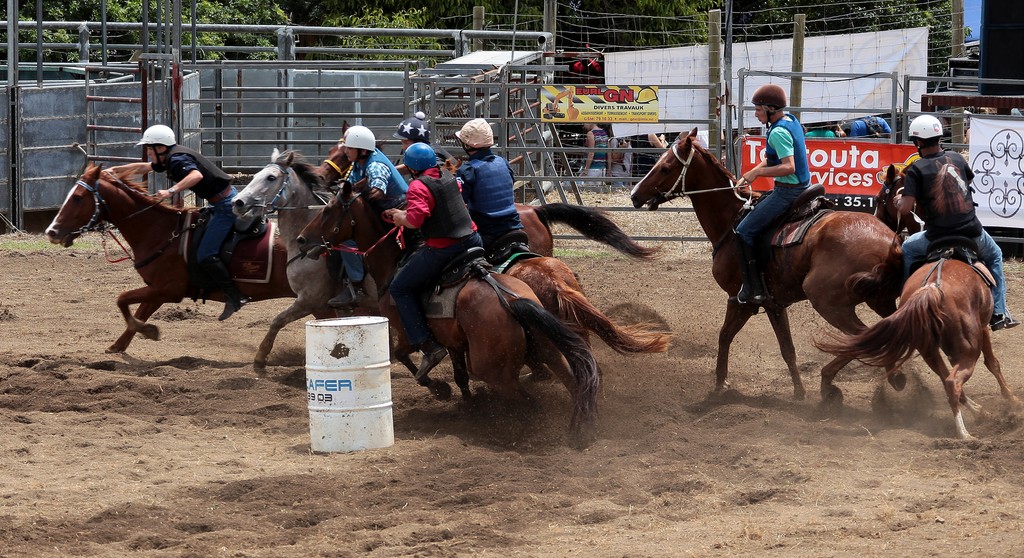 course de stock des collines chevaux tournant autour d'un fut de 200L SOCAFER Nouvelle-Calédonie