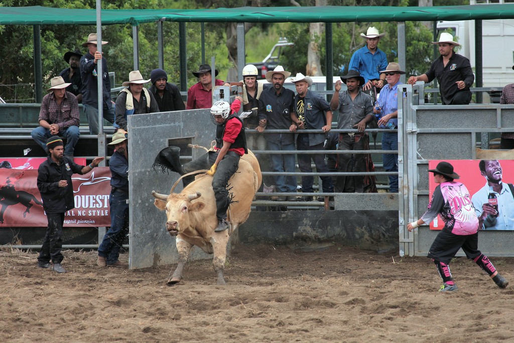 Bull riding rodeo sport American tradition New Caledonia rodeo federation