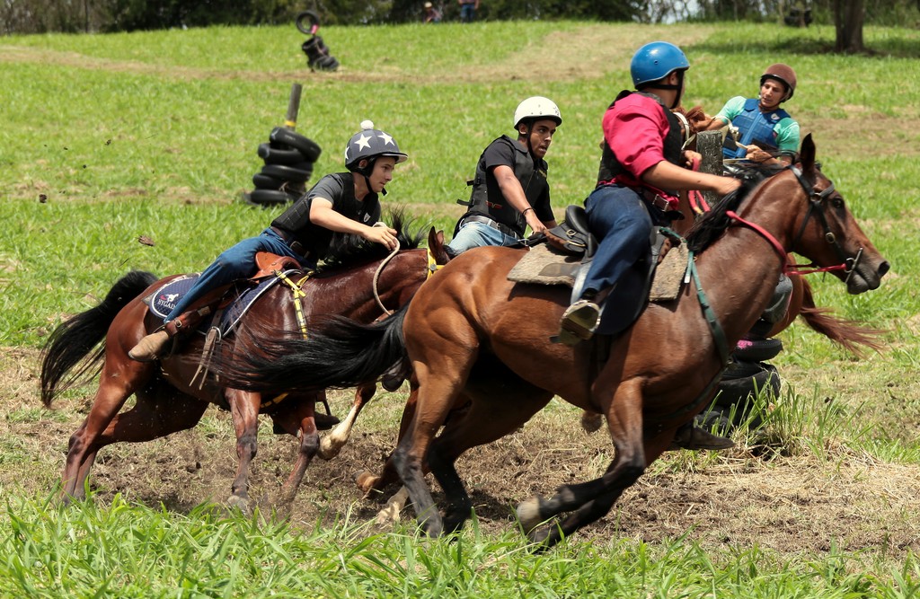 cheval stock rodéo course stockmen stockman cowboy Nouvelle-Calédonie