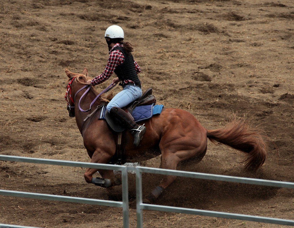Cheval en plein effort course baril barrel race racing horse cavalière qui envoie