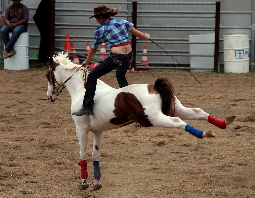 Cheval ruade cavaliere voltige equestre cheval qui ne touche pas le sol Nouvelle-Caledonie écurie sonador Païta