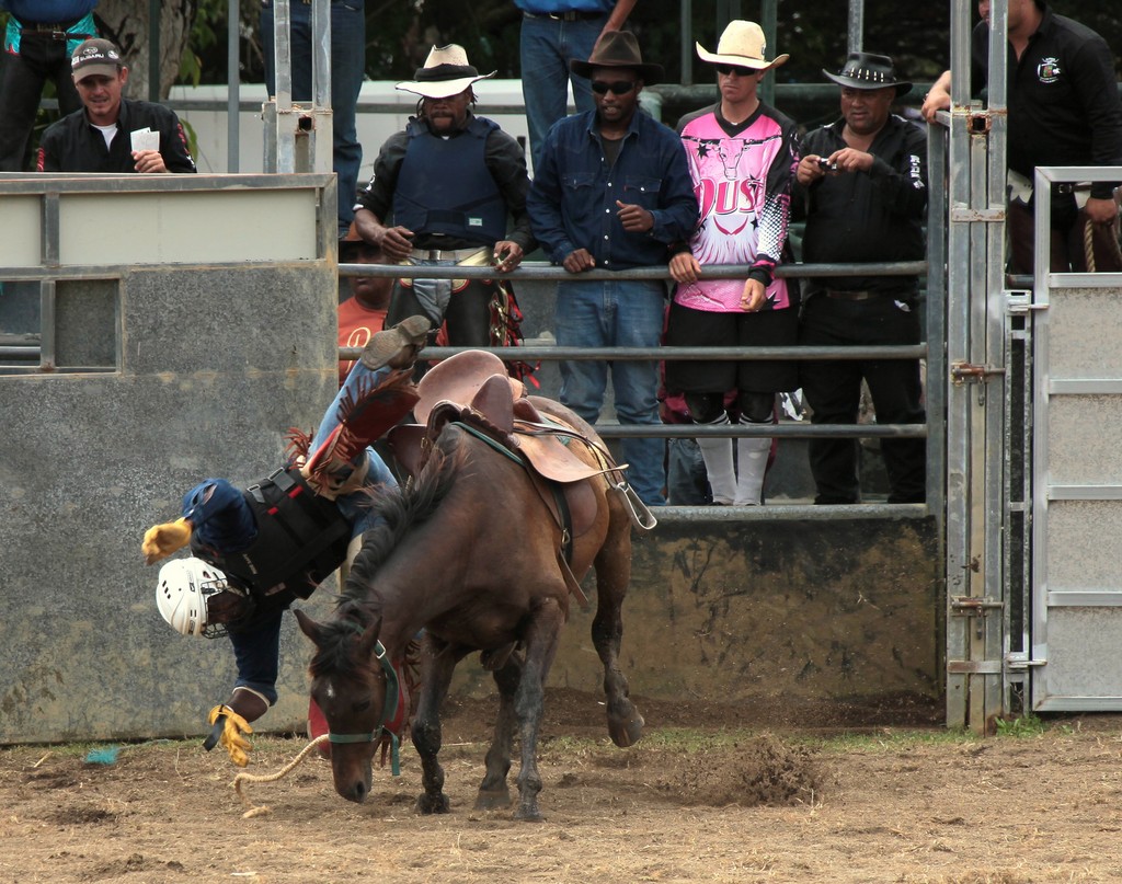rodéo spectacle événement sportif risque professionnel chute blessure Nouvelle-Calédonie