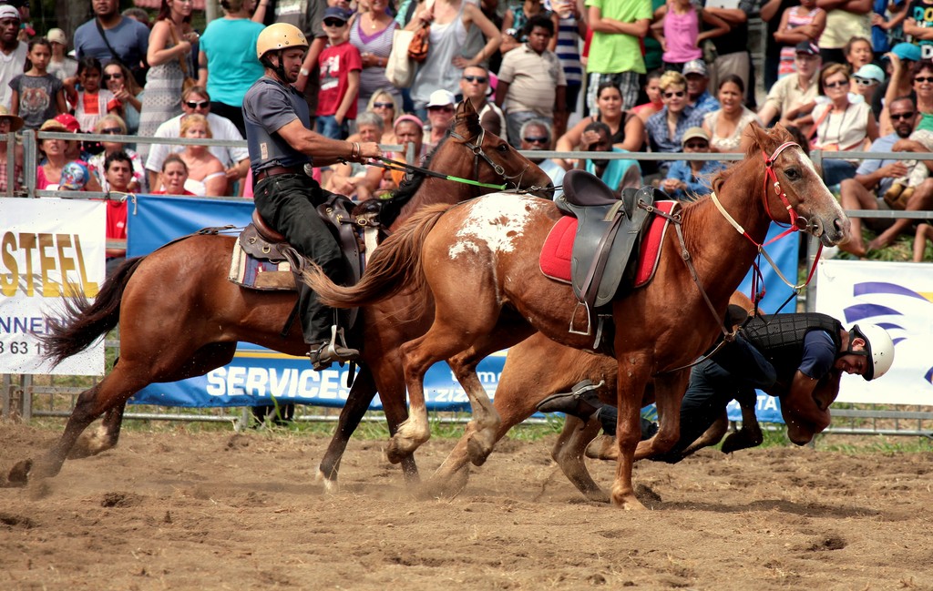 rodeo bulldogging Nouvelle-Calédonie Païta