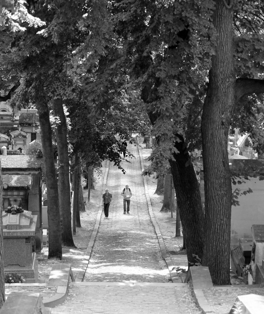 Allée bordée d'arbres et promeneurs cimetière du Père-Lachaise de nombreuses personnes célèbres y sont enterrées Paris