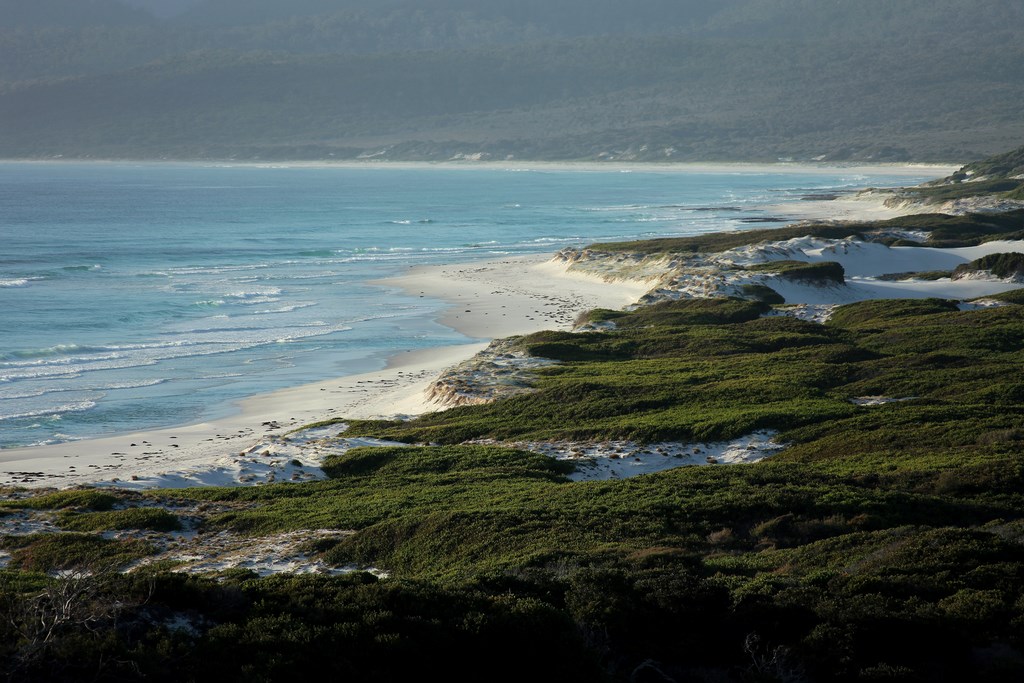 Tasmania white sand beach
