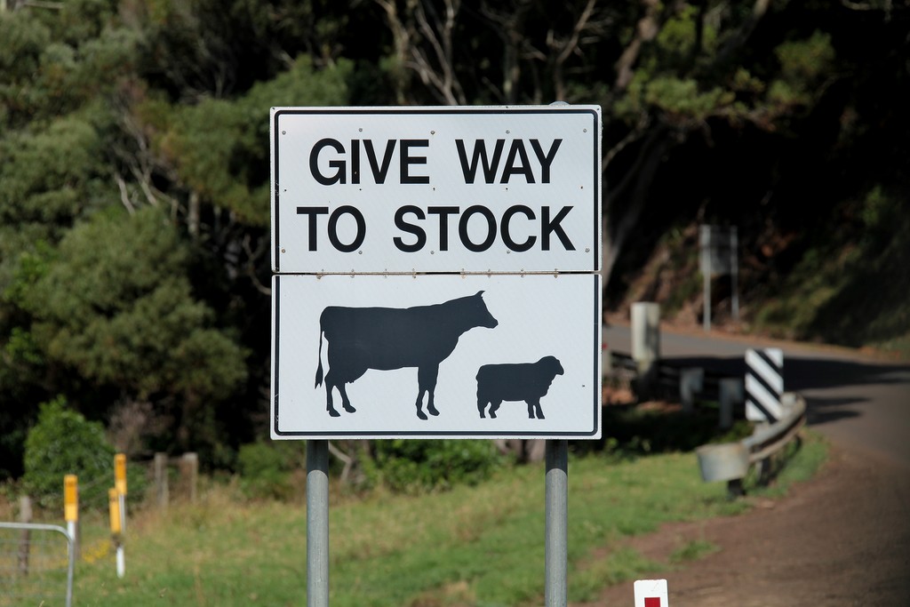 Give way to stock Australia