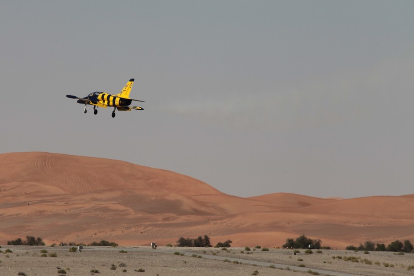L-39C Albatros BALTIC BEES JET TEAM moteur turbine pour avion de chasse train aterrisage landing gear dispositif