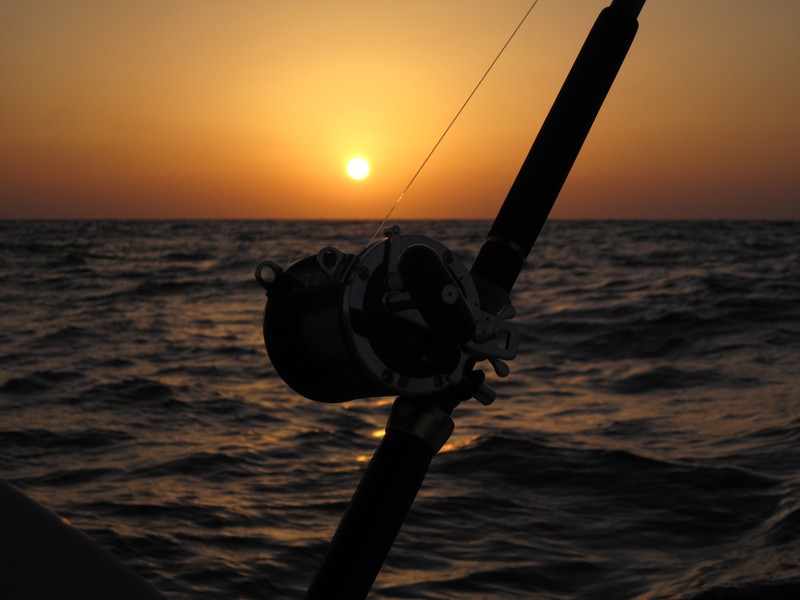 Canne à pêche au soleil couchant - golf Persique - Abu Dhabi - Emirats Arabes Unis