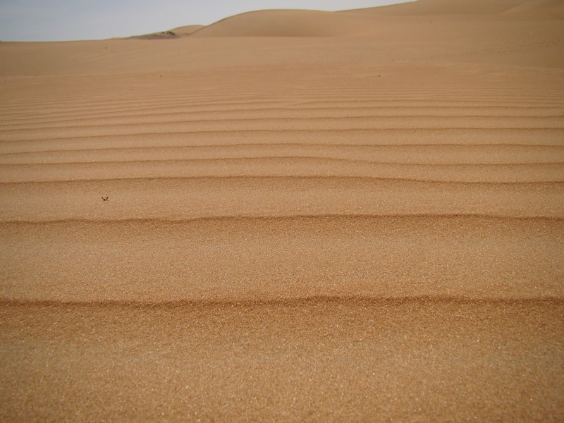 Desert abu dhabi - UAE - Sculture du sable par le vent du désert