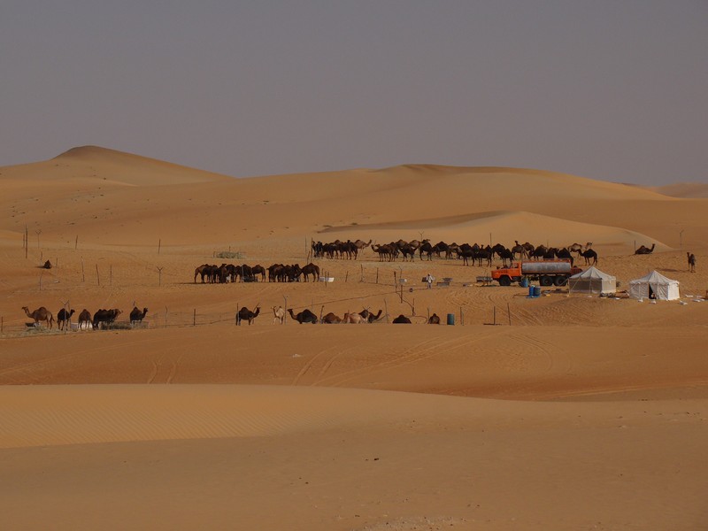 Desert abu dhabi - UAE