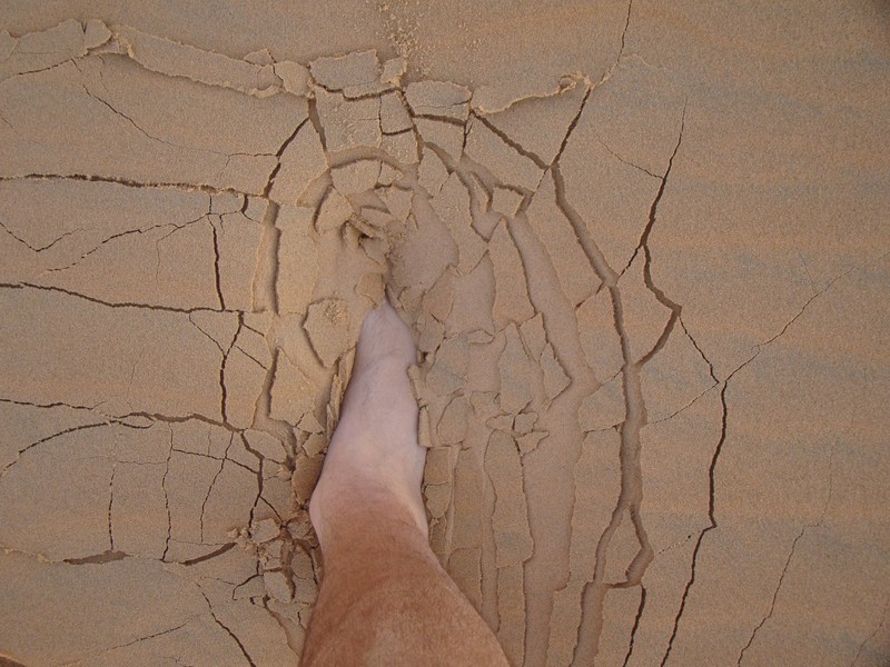 Désert Abu Dhabi Emirats Arabes Unis Al-Ain footprint in the sand United Arab Emirates