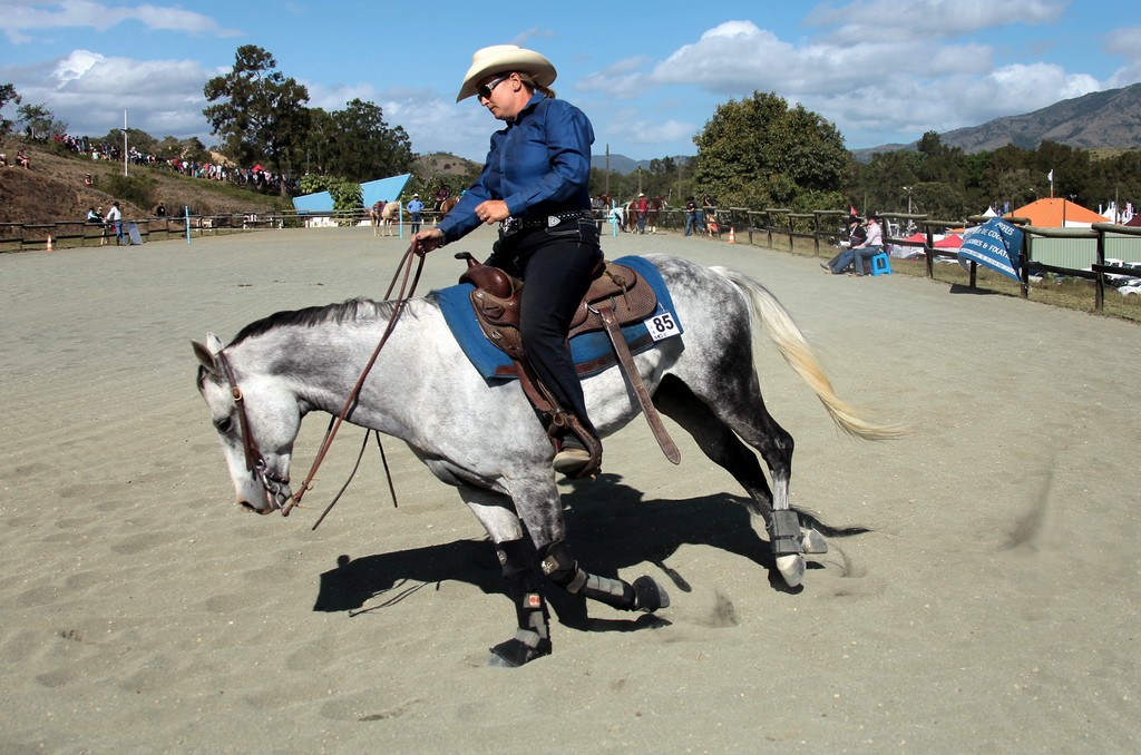 western foire bourail participante 85