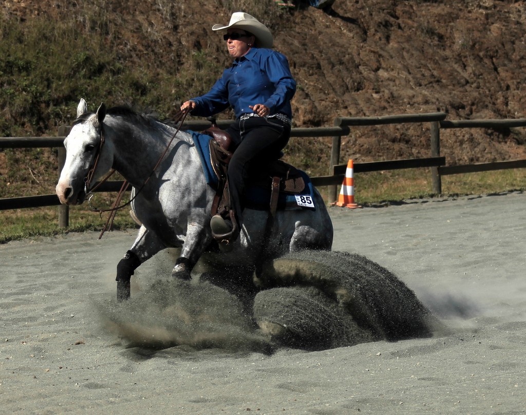 Cheval dressage Foire agricole et artisanale de Bourail 2013 Nouvelle-Calédonie