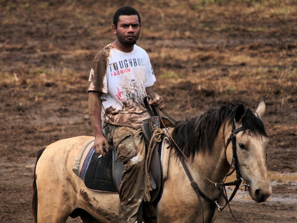 Stockman fron New Caledonia horse rider rodeo