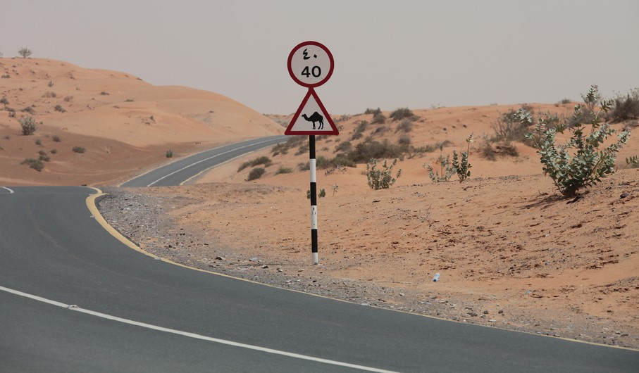road sign desert camel chameau dromadaire limitation vitesse speed limit