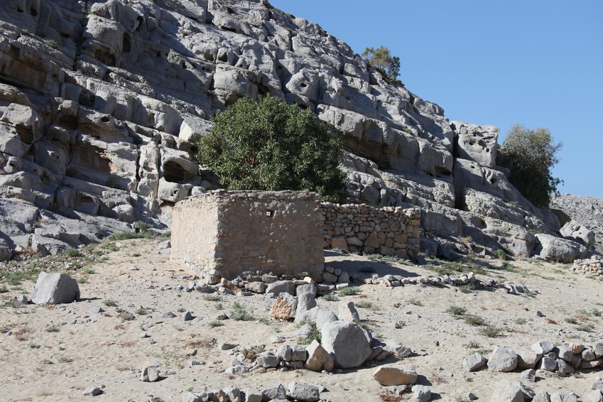 petite bergerie dans le desert péninsule de Musandam Oman chevre