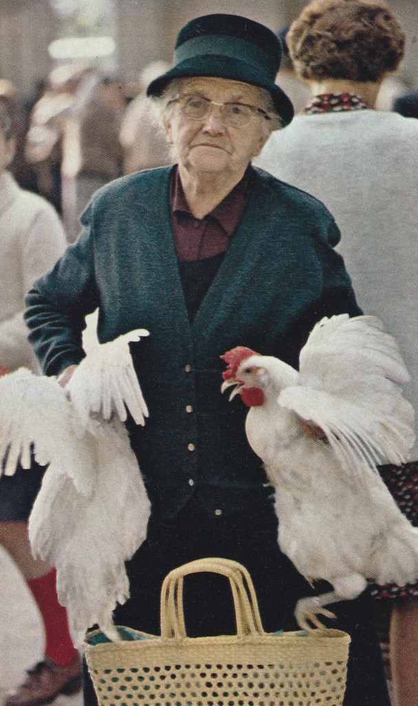 National Geographic june 1978 Burgundy France old woman carring chikens