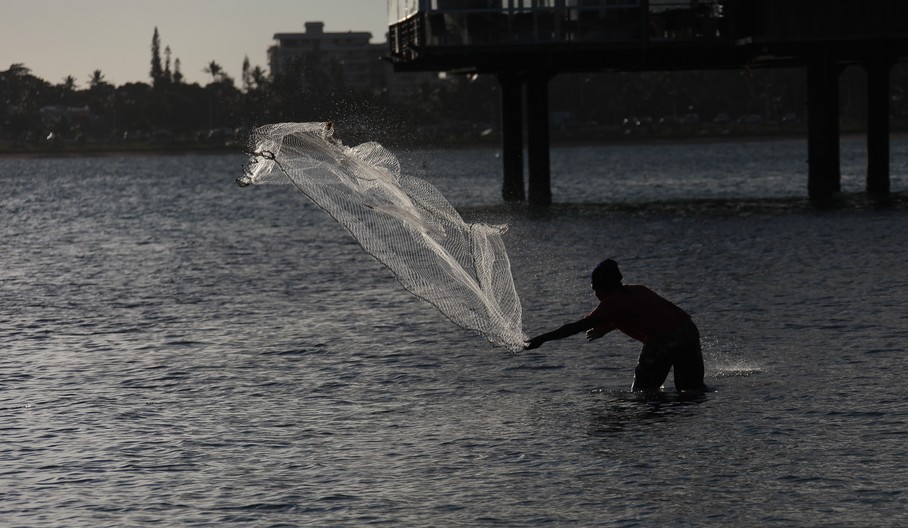 THROW CAST NET FISHERMAN LIVE BAIT FISHING