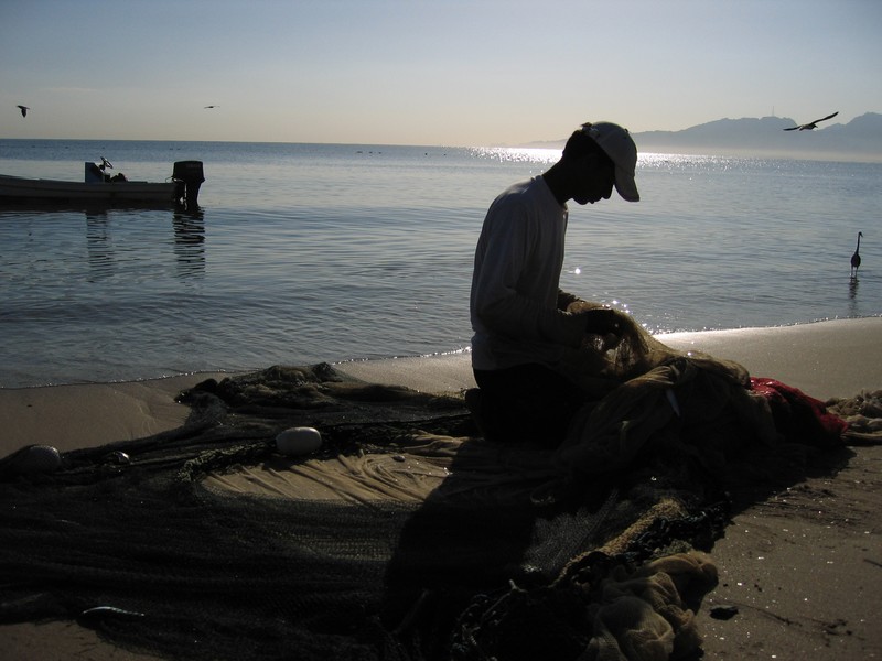 Pêcheur sur la plage triant son filet - Dibha - Oman