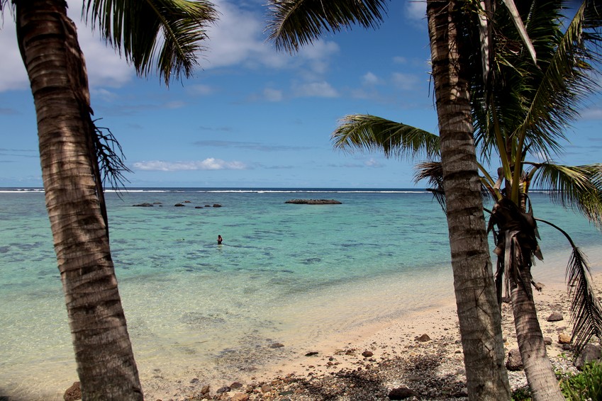 beach fiji white sand pamier palm tree noix de coco coconut plage paradis paradisaique heaven paradise fidji