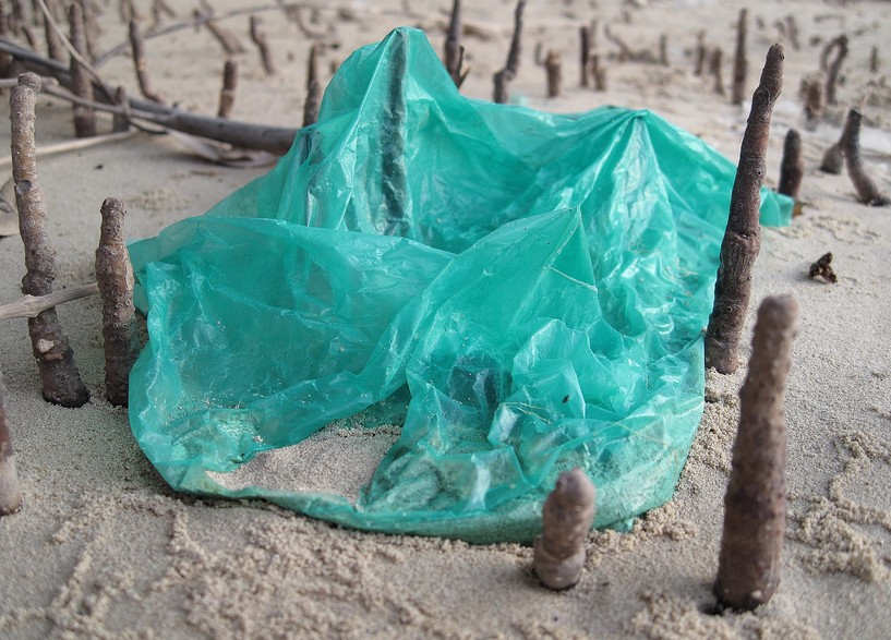 plastic bag in the abu dhabi mangrove picture contest heritage club UAE protection nature