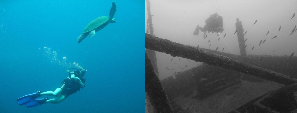 Sexy female diver with a turtle Daymaniat island dohw wreck in Musamdan oman diving picture underwater competition contest UAE Emirates