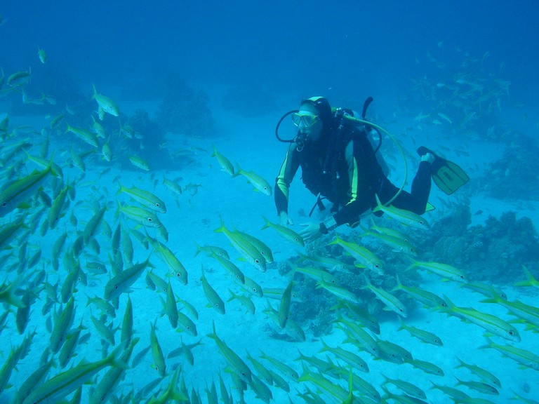 Diving trip Oman plongée sous-marine au sultanat d'Oman