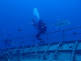 Photographe sous-marin appareil photo mumérique caisson étanche technique prise de vue