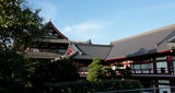 Shinto shrine kami sanctuary Tokyo Japan worship 神社
