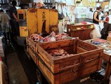 Thon rouge marche de Tsukiji Tokyo Japon red tuna fish market Japan 東京都中央卸売市場 Tōkyō-to Chūō Oroshiuri Shijō