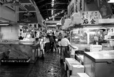 Metropolitan Central Wholesale Market Tsukiji Tokyo Japan 築地市場 Tsukiji shijō