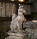 Kitsune renard gardien sanctuaire kami Inari Tokyo Japon
