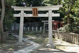 Portail Traditionnel Japonais Torii Tokyo Japon 神明鳥居