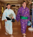 Sumotori お相撲さん tournois sumo Japon Tokyo