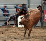 Chute mal de dos colonne vertebrale sport a risque Rodeo Paita bull riding
