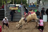 Sport a risque rodéo taureau bull riding monte a cru arene rodeo Païta Nouvelle-Calédonie