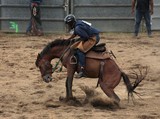 grand rodeo fete boeuf paita 2013 Nouvelle-Calédonie association juge australien