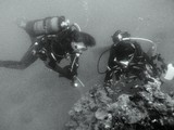 Photo sous-marine noir et blanc Nouvelle-Calédonie plage Colnett Puébo