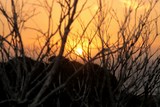 Sundown picture Tasmania Australia