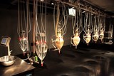 ​Wim Delvoye Cloaca cloaque tube digestif humain géant et fonctionnel Mona Museum Hobart Tasmanie Australie