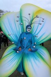 Fleur bleue Carnaval de Nouméa 2015 Nouvelle-Calédonie