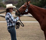 Concours races équines Foire de Koumac et du Nord 2016 Nouvelle-Calédonie