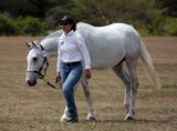 Cheval blanc Foire de Koumac et du Nord 2016 Nouvelle-Calédonie