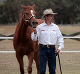 Cow-Boy et sa monture Foire de Koumac et du Nord 2016 Nouvelle-Calédonie