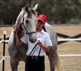 Elevage d'Higginson Cheval conconrsFoire de Koumac et du Nord 2016 Nouvelle-Calédonie