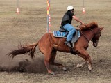 Horse zigzag pole bending Foire de Koumac et du Nord 2016 Nouvelle-Calédonie