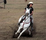 Pole Bending Foire de Koumac et du Nord 2016 Nouvelle-Calédonie