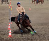Good horsemanship Foire de Koumac et du Nord 2016 Nouvelle-Calédonie