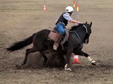 Pole bending cheval stock Foire de Koumac et du Nord 2016 Nouvelle-Calédonie